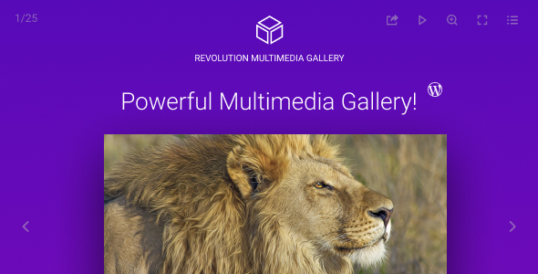 Revolution Multimedia Gallery - CodeCanyon 21525797