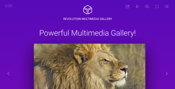 Revolution Multimedia Gallery - CodeCanyon 21312904