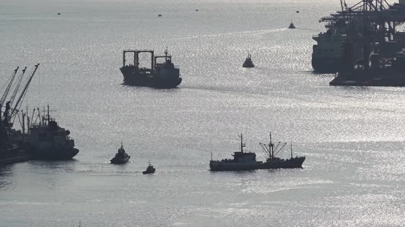 Vessels of Various Sizes Float in Silhouette on the Territory of the Port in the Fjord