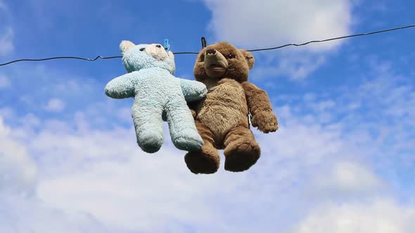 Two Teddy Bears Hang on a Rope After alt