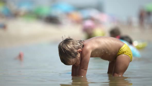 Kid Collects Shells and Pebbles in the Sea on a Sandy Bottom Under the Summer Sun on a Vacation alt