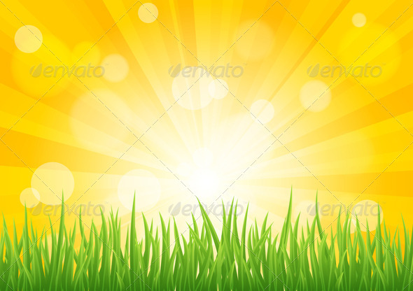 Bright vector sun effect with green grass field - Backgrounds Decorative