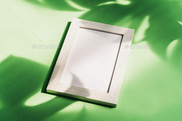 Empty picture frame with shadow of tropical green leave on color background