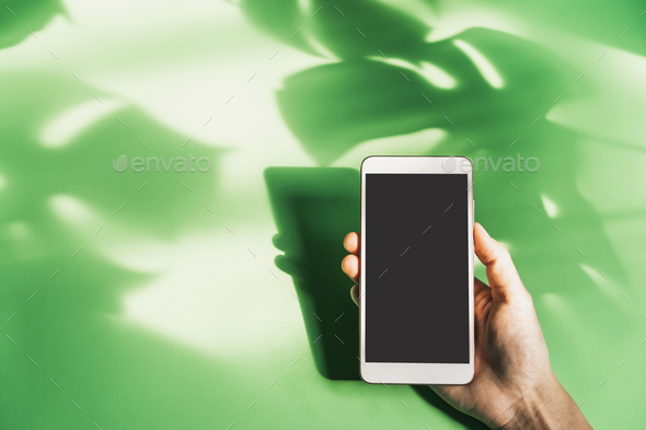 Hand holding empty screen smart phone with shadow of tropical green leave on color background