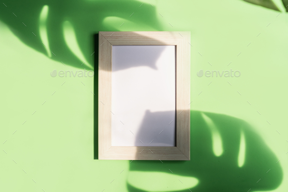Empty picture frame with shadow of tropical green leave on color background