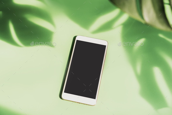 Empty screen smart phone with shadow of tropical green leave on color background