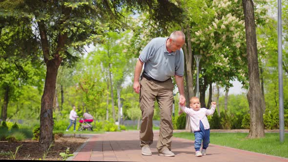 Baby Learns to Walk Outdoors alt