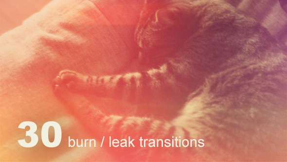 30 Burn / Leak Transitions