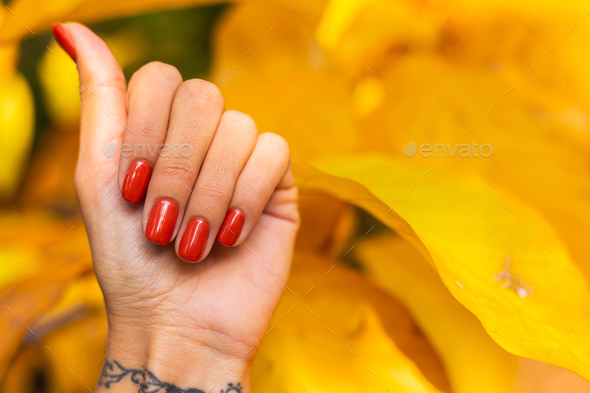 Close outdoor shot of womans hands in park orange color manicure, autumn mood.