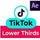 Tik Tok Lower Thirds Reminders - VideoHive Item for Sale