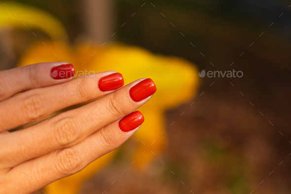 Close outdoor shot of womans hands in park orange color manicure, autumn mood.