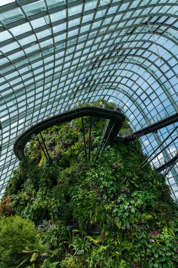 Cloud Forest at the Gardens by the bay
