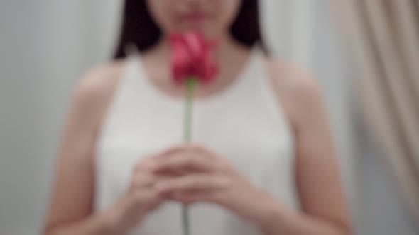 Woman holding flower, single red roses in hand in front of herself