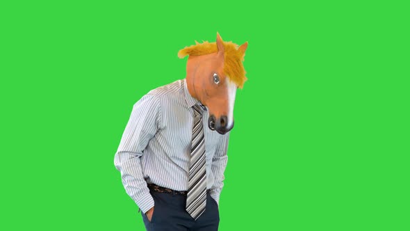 Relaxed Confident Business Man in Shirt and Tie Walk Wearing Horse Mask on Face Cheerful Dancing on