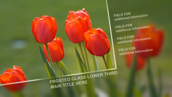 Frosted Glass Lower - VideoHive 2813264