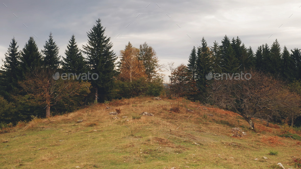 Autumn landscape at mountain forest aerial. Environment at mount nature beauty. Pine fir, leafy tree - Stock Photo - Images