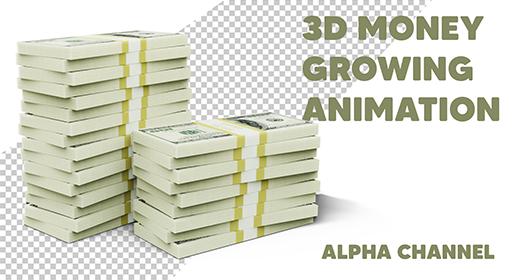 3D Money