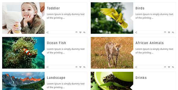 Album Gallery Wordpress Photo Gallery Plugin By Mircode Codecanyon