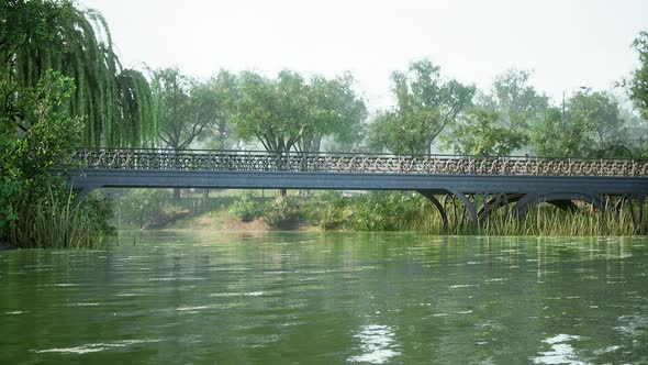 Pond of City Central Park in Summer Day alt