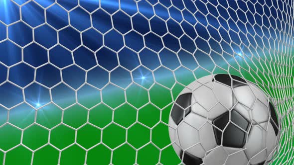 Soccer Ball  In  Net 