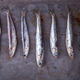 Anchovy Fresh Marine Fish.Appetizer - PhotoDune Item for Sale