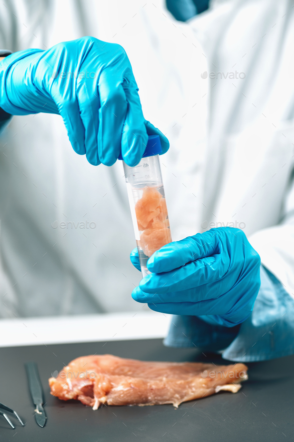 Raw Chicken Meat Food Safety Laboratory Inspection