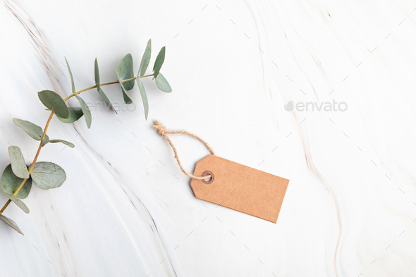 Blank branding tag mockup. Tags for price, gift, sale, address label with floral elements