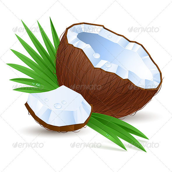 Half a coconut - Food Objects