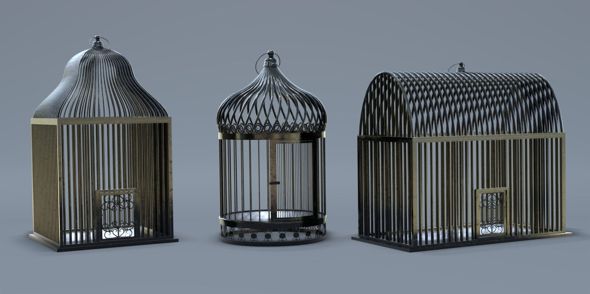 Bird Cage Collection - 3Docean 30959539