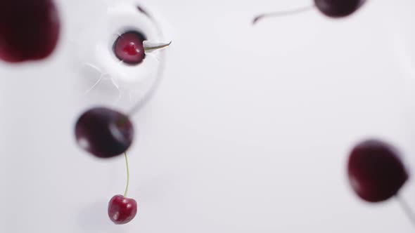 Cherries Falling Down to the Milk alt