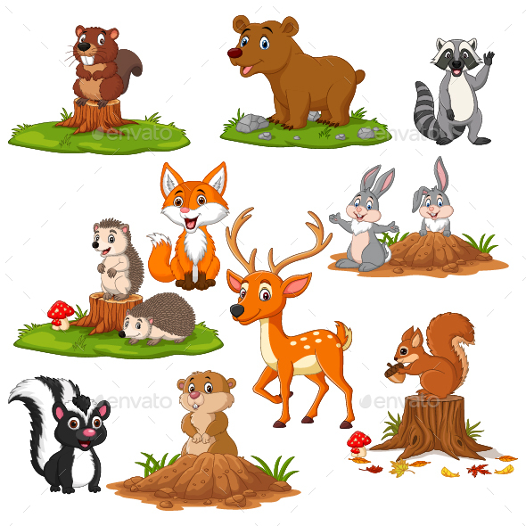 Set of Cartoon Woodland Animals, Vectors | GraphicRiver