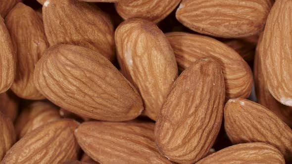 Almond Nuts alt