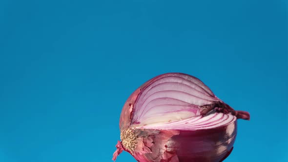 Onion alt