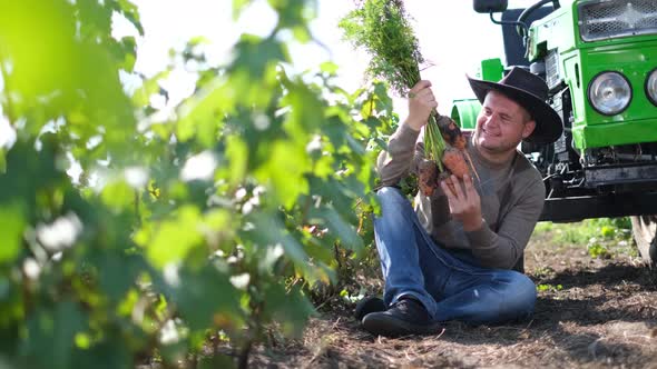 An American Farmer Near a Tractor Inspects a Carrot Crop in Colorado USA alt