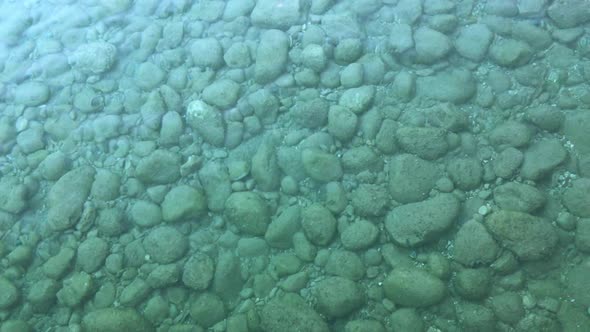 Transparent Water On The Sea Shore alt