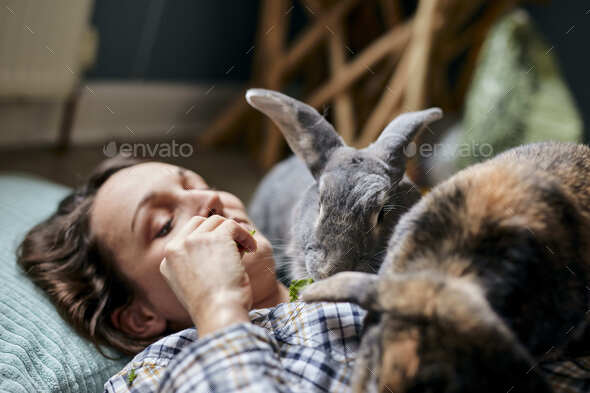 Woman lying on the floor feeding two pet house rabbits
