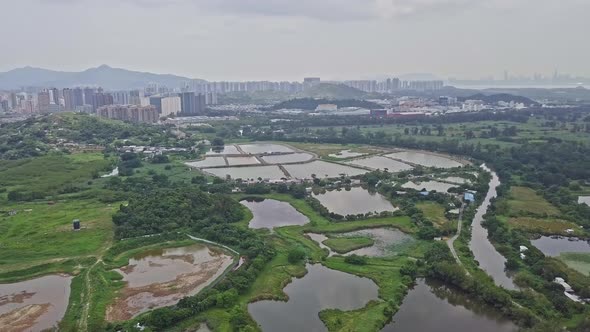 A dynamic high-altitude aerial footage of the green farm in Yuen Long, Hong Kong. This farm is surro alt