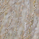 Nature background - catkins, shallow depth of field - PhotoDune Item for Sale
