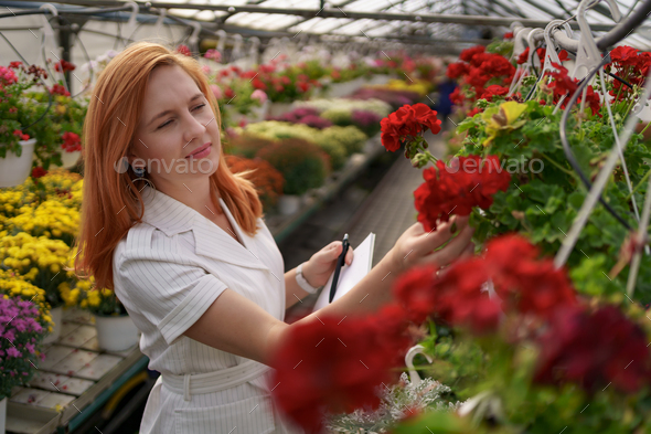 Woman inspecting flowers in greenhouse