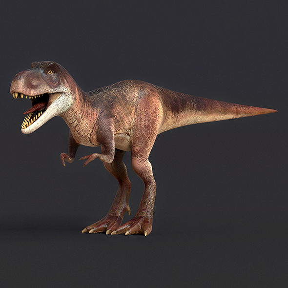 Young Trex Dinosaur - 3Docean 31015898