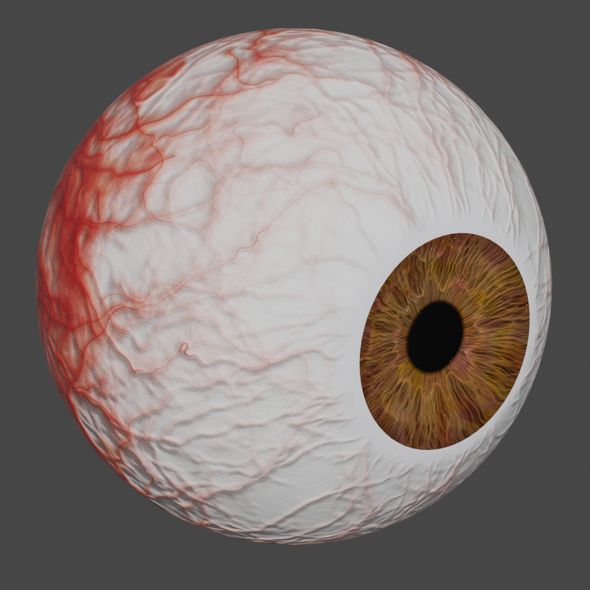 Realistic Eye - 3Docean 30125457