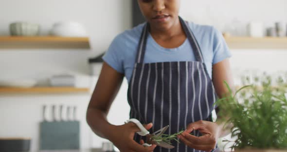Happy african american woman preparing dinner in kitchen alt