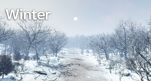 Winter