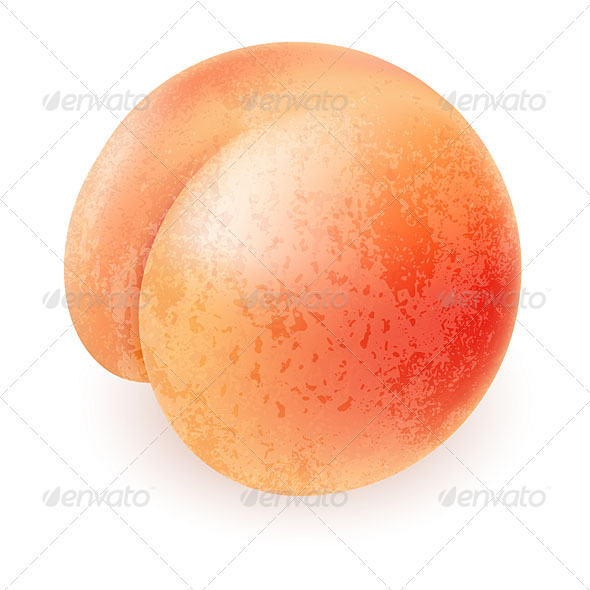 Appetizing ripe peach - Food Objects