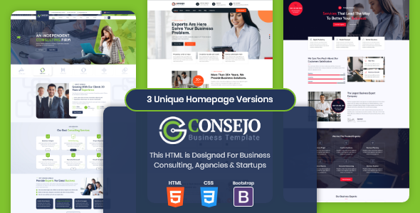 Nice Consejo | Business HTML Template