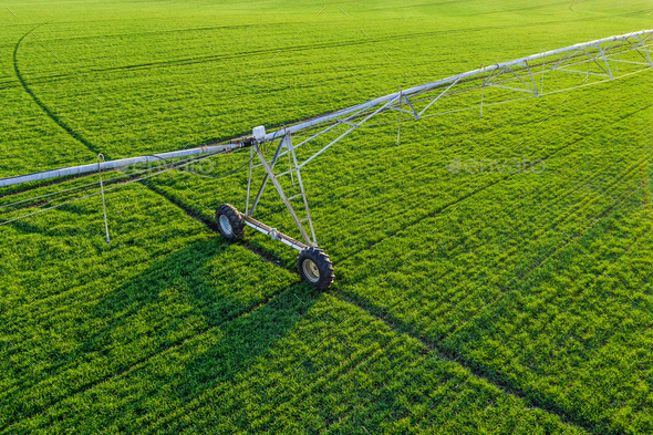Aerial view of center-pivot irrigation sprinkler in wheat field - Stock Photo - Images