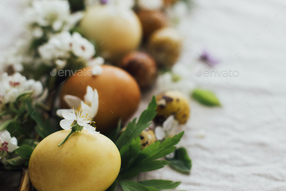 Easter eggs with spring flowers and tender petals on rustic linen. Aesthetic eco natural holiday