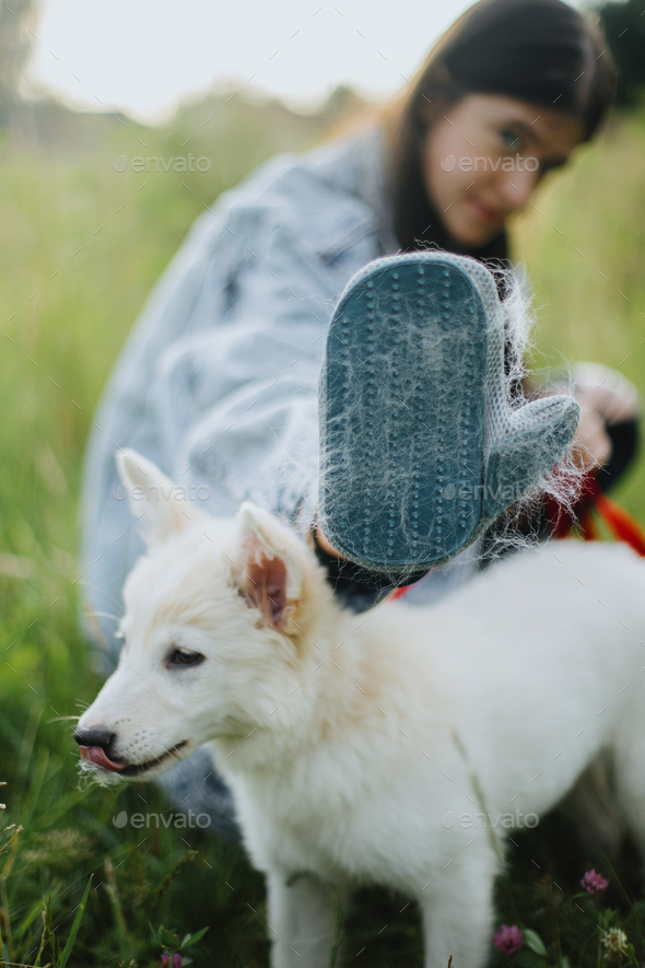 dog grooming deshedding