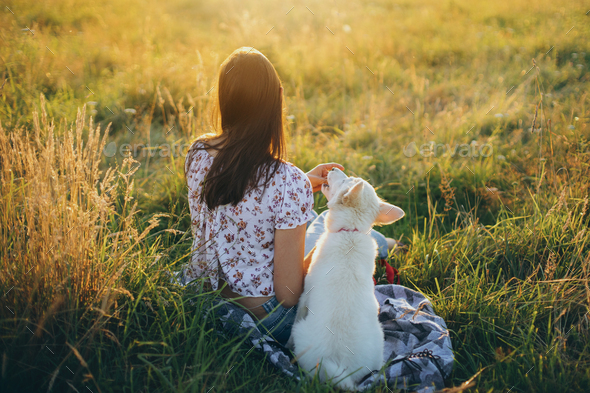 Happy woman with cute white puppy sitting in summer meadow and looking at warm sunset. Happiness