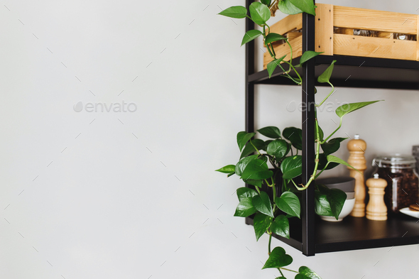 Styling Wire Shelves in the Kitchen